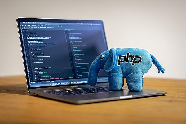 What Is a Headless CMS?