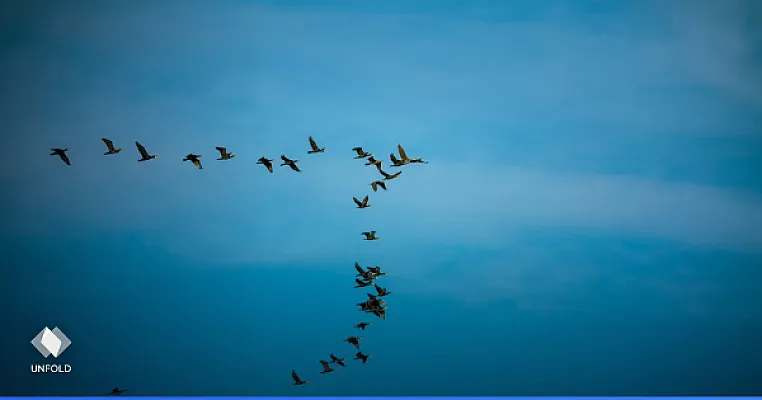 How to Migrate From Kontent.ai to a Self-Hosted CMS